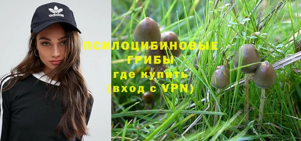 шишки Елабуга
