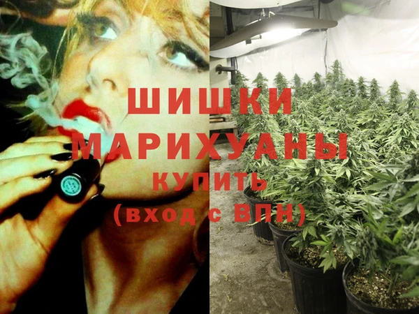 скорость Елизово