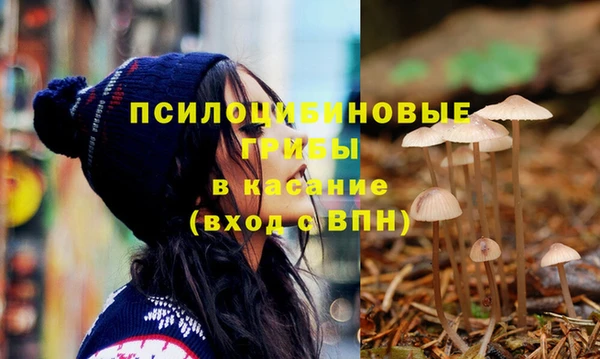 скорость Елизово