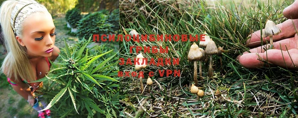 шишки Елабуга