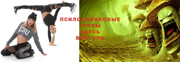 скорость Елизово